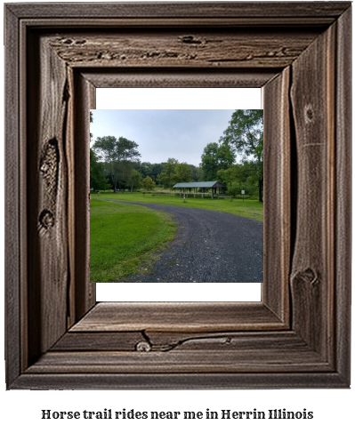 horse trail rides near me in Herrin, Illinois